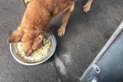 IMG-20230215-WA0027