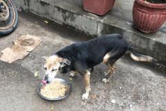 IMG-20230215-WA0028