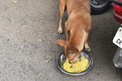 IMG-20230215-WA0030