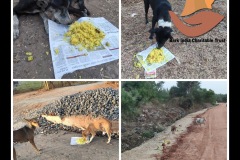 PicsArt_05-20-04.05.06