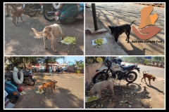 PicsArt_06-06-08.52.51