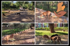 PicsArt_06-06-09.31.02