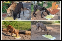 PicsArt_06-11-09.12.11