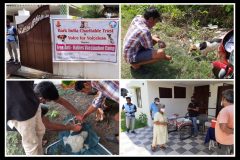 Street dog vaccination