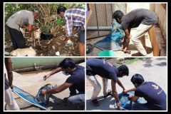 Team Bark India catches dogs for vaccination