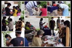 Vaccination camp by Bark India