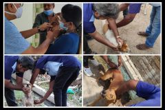 PicsArt_08-30-10.28.40-scaled