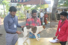 c15778b4-d332-4eb0-a46b-8a2cc75d8229