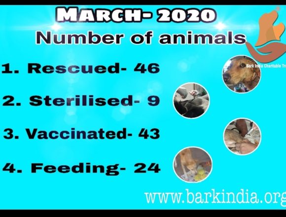 Animal welfare activities- March 2020