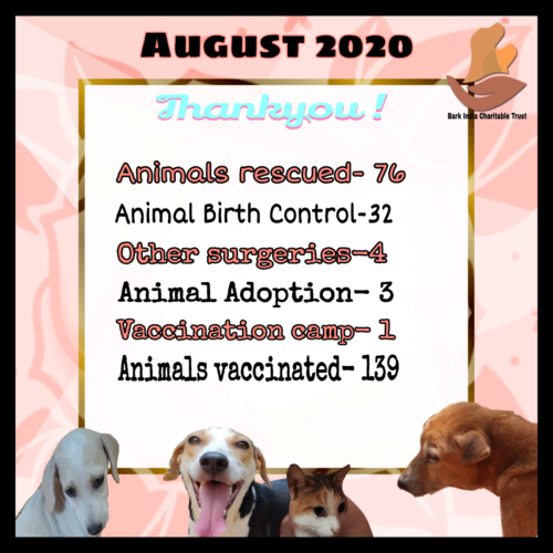 Animal rescue, treatment and welfare- August 2020