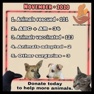Animal Rescue activities