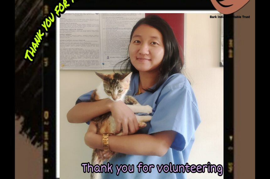 Volunteer Veterinary doctor Thank you for volunteering