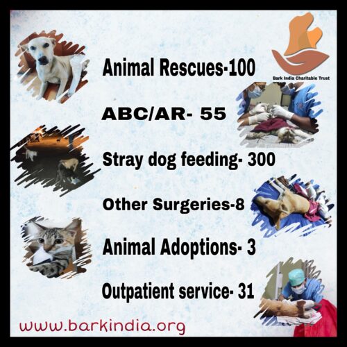 Donate for animal rescue