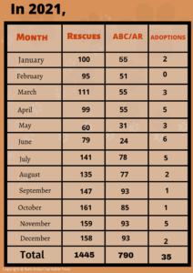 Who do dog spay and neuter, rescue and adoptions