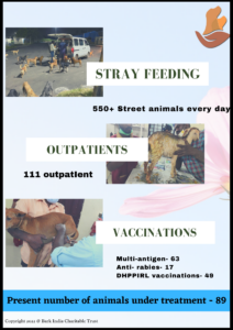 veterinary hospital, animal treatment, stray animal feeding, outpatient treatment