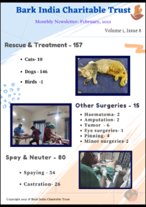 Animal rescue, surgeries 