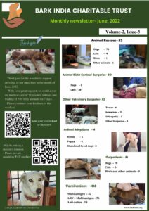 newsletter- animal welfare organisation