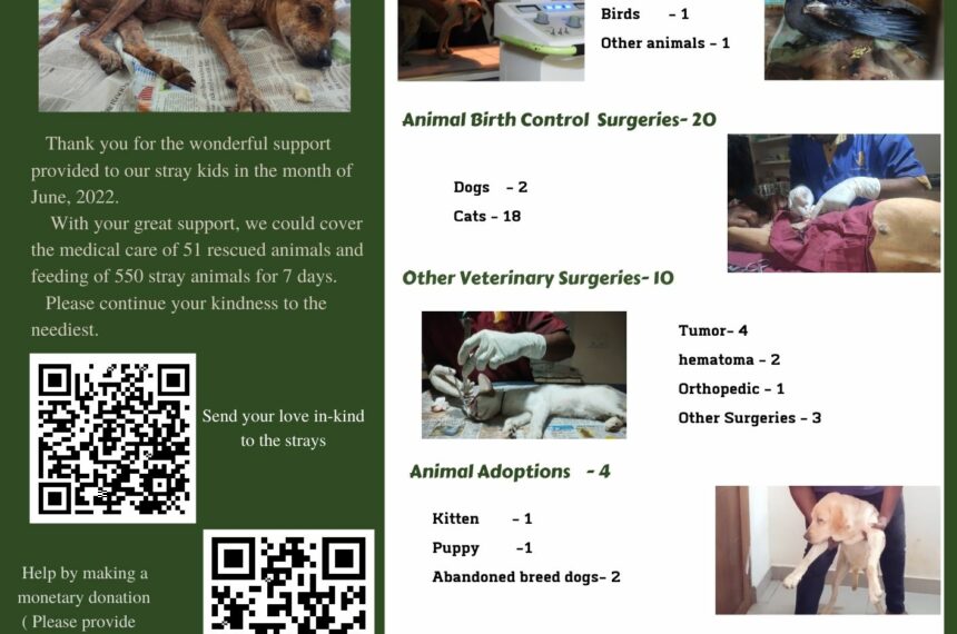 newsletter- animal welfare organisation