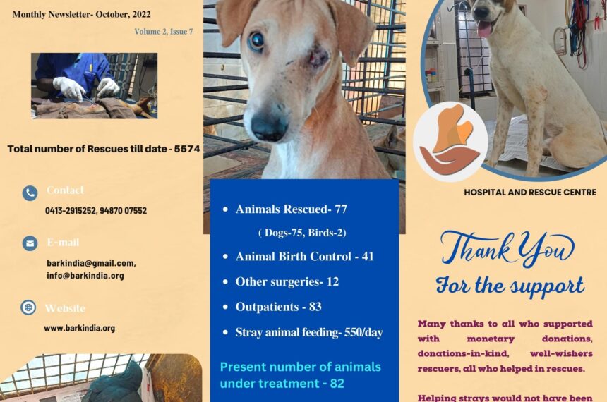 Bark India Charitable Trust (2) Animal rescue charity India