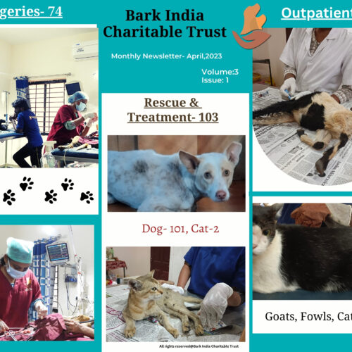 Animal rescue, treatment, outpatient, dog treatment, spay and castration, other surgeries,vaccinations, stray dog feeding