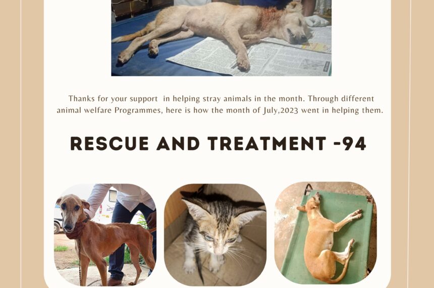 Animal rescue and treatment