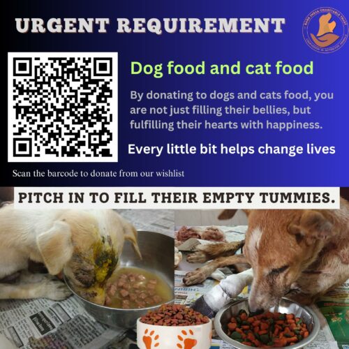 donate food for stray animals