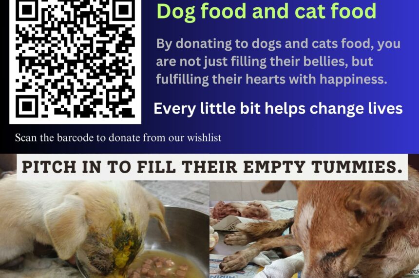 donate food for stray animals
