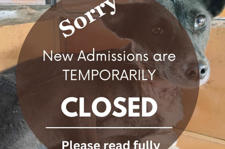New Admissions are TEMPORARILY Help us serve the strays better