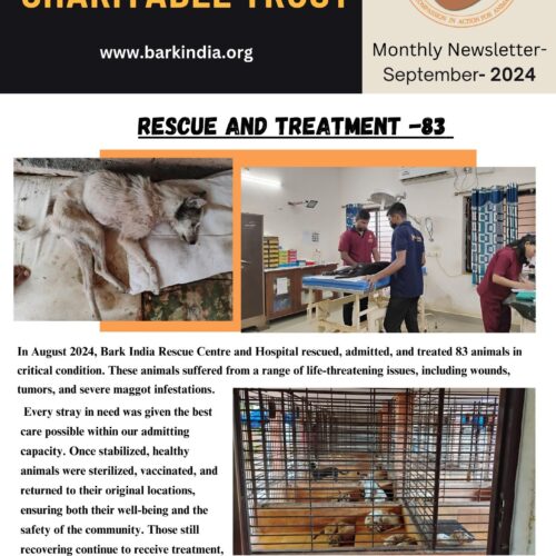 Animal welfare- September, 2024