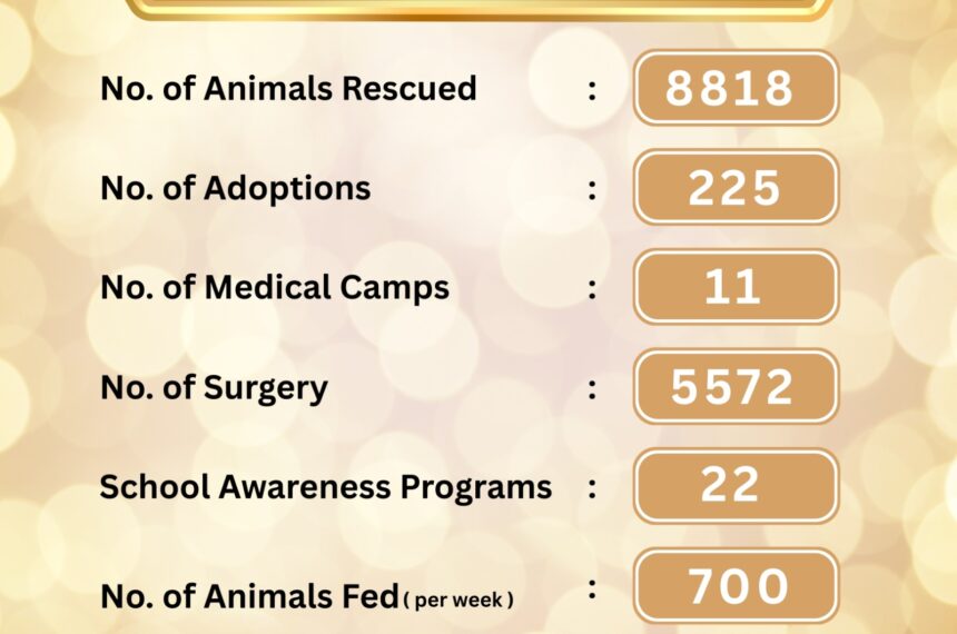 10 YEARS OF SERVING STRAYS- DONATE TO SUPPORT