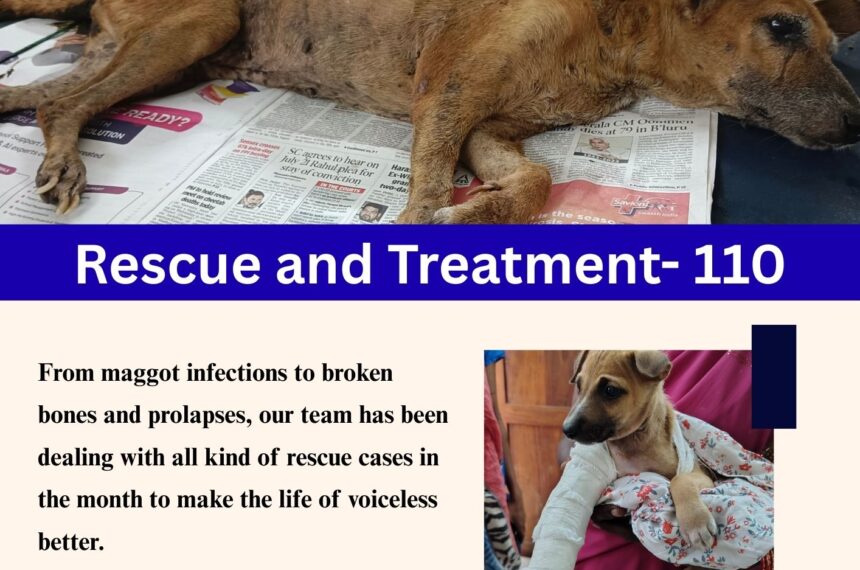 December 2025: A Month of Hope, Healing & Humanity